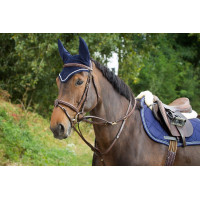 Enrênement Thiedeman HFI Marron