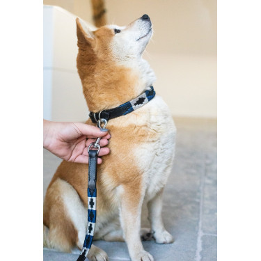 Laisse chien Polo HFI Laisse chien Polo HFI