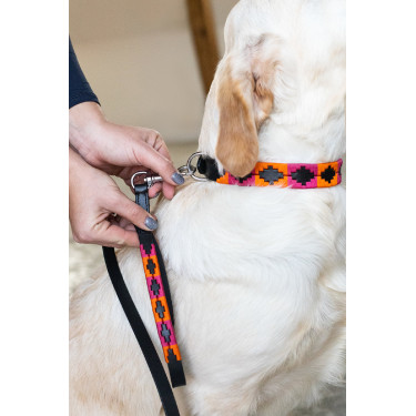 Laisse chien Polo HFI Laisse chien Polo HFI