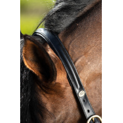 Licol bombé HFI Noir Licol bombé HFI Noir