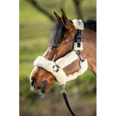 Licol Cosy mouton synthétique HFI Licol Cosy mouton synthétique HFI