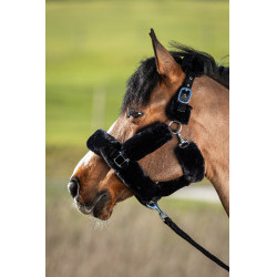 Licol Cosy mouton synthétique HFI Noir