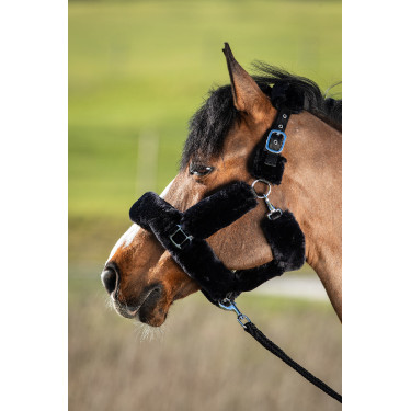 Licol Cosy mouton synthétique HFI Noir