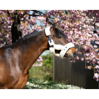 Licol Cosy mouton synthétique HFI Marine / beige Bleu Licol Cosy mouton synthétique HFI Marine / beige Bleu