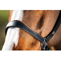 Licol en cuir HFI bicolore Noir / cognac Licol en cuir HFI bicolore Noir / cognac