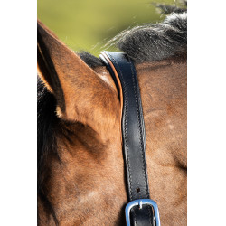 Licol en cuir HFI bicolore Noir / cognac Licol en cuir HFI bicolore Noir / cognac