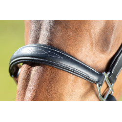 Licol grooming HFI Noir Licol grooming HFI Noir