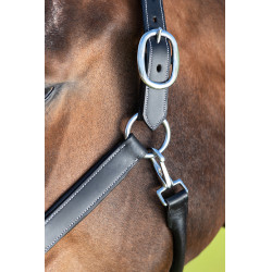 Licol grooming HFI Noir Licol grooming HFI Noir