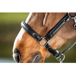 Licol HFI Wave Noir