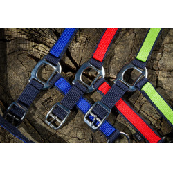 Licol Nylon HFI Marine / bleu royal