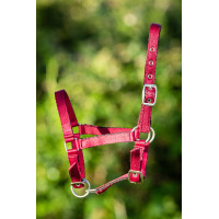 Licol Nylon HFI Poulain Bordeaux