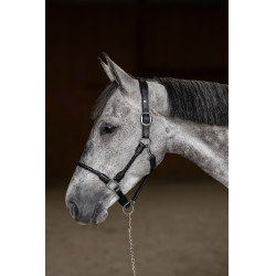 Licol tressé HFI Noir