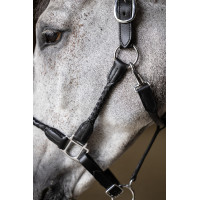 Licol tressé HFI Noir Licol tressé HFI Noir