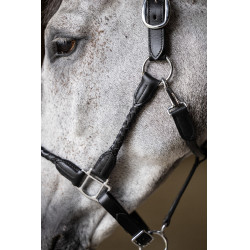 Licol tressé HFI Noir