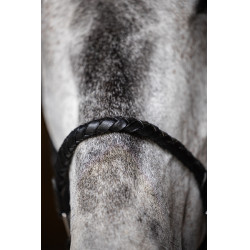 Licol tressé HFI Noir