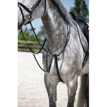 Martingale d'entrainement HFI Martingale d'entrainement HFI