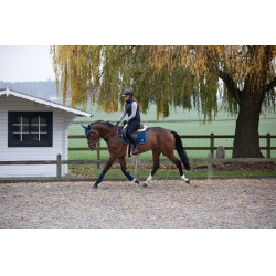 Tapis de selle HFI Velvet Bleu