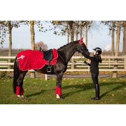 Tapis de selle HFI Velvet Rouge