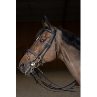 Bride de jumping HFI Master double jump Noir