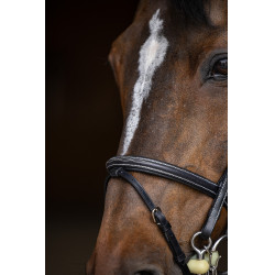 Bride de jumping HFI Master double jump Noir