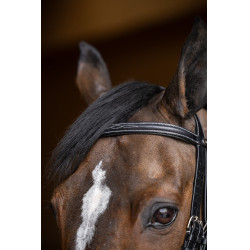 Bride de jumping HFI Master double jump Noir