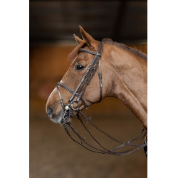 Bride de jumping HFI Master double jump