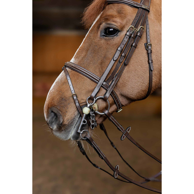 Bride de jumping HFI Master double jump Bride de jumping HFI Master double jump