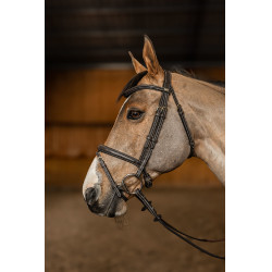 Bridon Combiné Flex HFI Master Marron