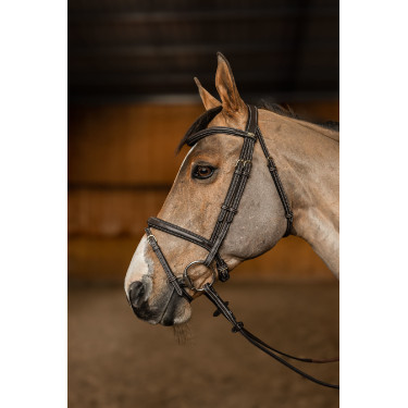 Bridon Combiné Flex HFI Master Marron