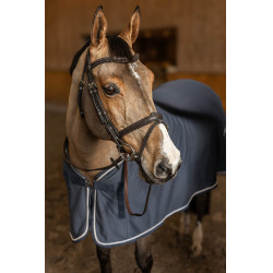 Bridon Combiné Flex HFI Master Marron