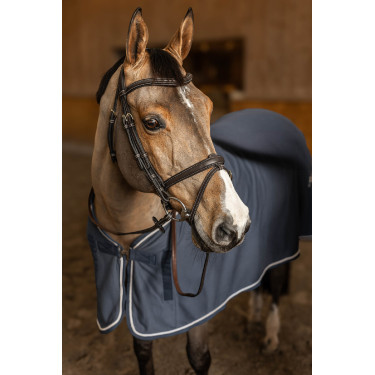 Bridon Combiné Flex HFI Master Marron