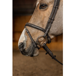 Bridon Combiné Flex HFI Master Marron