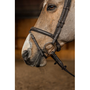 Bridon Combiné Flex HFI Master Marron