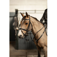 Bridon combiné Milano HFI Master Pro Line Noir / argent