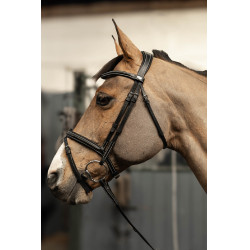 Bridon combiné Milano HFI Master Pro Line Noir / argent