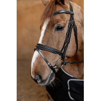 Bridon Combiné Padded HFI Master Noir Bridon Combiné Padded HFI Master Noir