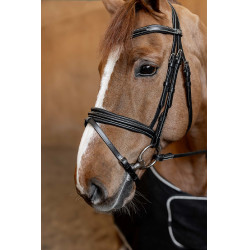 Bridon Combiné Padded HFI Master