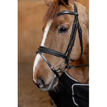 Bridon Combiné Padded HFI Master Bridon Combiné Padded HFI Master