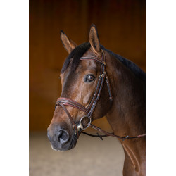 Bridon Combiné Padded HFI Master Marron