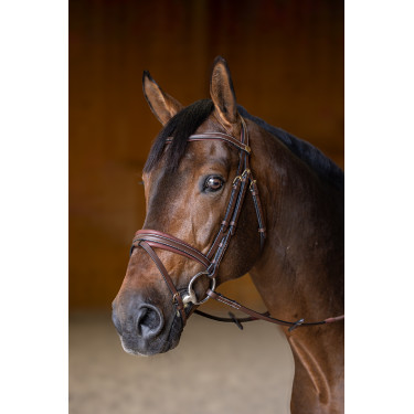 Bridon Combiné Padded HFI Master Marron