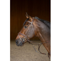 Bridon Combiné Padded HFI Master Marron Bridon Combiné Padded HFI Master Marron