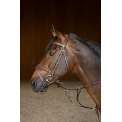 Bridon Combiné Padded HFI Master Marron