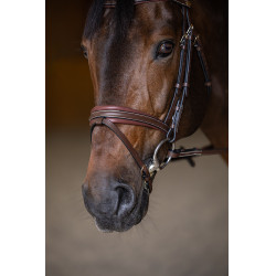 Bridon Combiné Padded HFI Master Marron