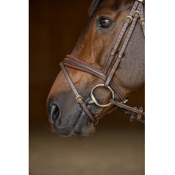 Bridon Combiné Padded HFI Master Marron