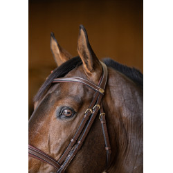 Bridon Combiné Padded HFI Master Marron