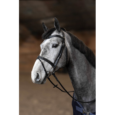 Bridon Combiné Painted HFI Master Bridon Combiné Painted HFI Master