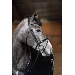 Bridon Combiné Painted HFI Master Noir