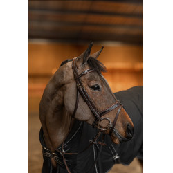 Bridon Combiné Painted HFI Master Marron