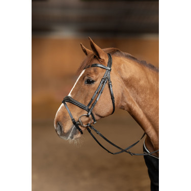 Bridon Combiné Wavy HFI Master Bridon Combiné Wavy HFI Master