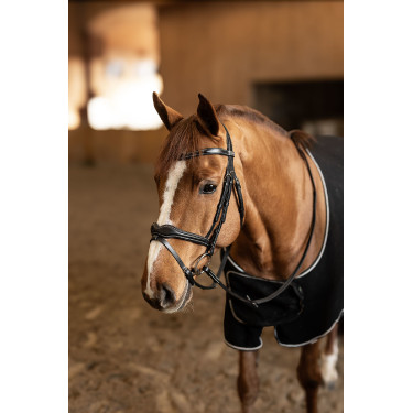 Bridon Combiné Wavy HFI Master Bridon Combiné Wavy HFI Master
